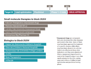 Treatment pipeline (updated February 2021).